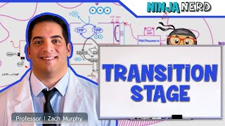 Metabolism  Transition Stage Preparatory Phase [upl. by Aneeuq522]