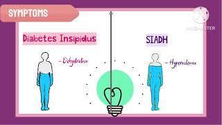 SIADH vs Diabetes Insipidus Hindi animation [upl. by Maryanna]