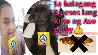 Joy Dishwashing Liquid For Fleas amp Ticks  How to get rid of fleas amp ticks [upl. by Silma]