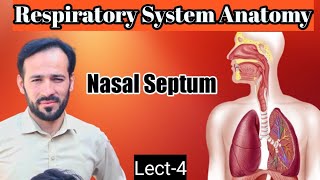 04 Nasal Septum  Nasal Septum anatomy  Anatomy of Nasal septum  Respiratory system anatomy [upl. by Olen]