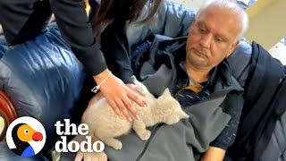 Dad Does NOT Want Cats In His Home  The Dodo [upl. by Adyol]