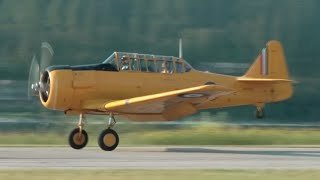 North AmericanCCF Harvard Mk II and Mk IV Approach and Landing [upl. by Nilcaj911]