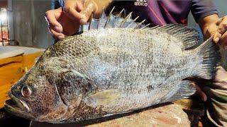 Giant Tripletail Fish Cutting In Fish M arket Bangladesh Fish Cutting [upl. by Ailugram415]