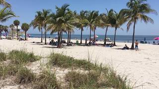 Crandon Park Beach [upl. by Nnylhtak]