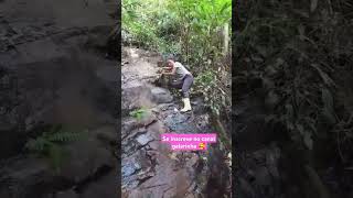 Descendo a cachoeira rotinadeumamulherdocampo cachoeira floresta preservaçãodanatureza roça [upl. by Connolly]