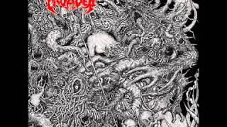 Sodomized Cadaver  Verses Of Putridity Full Album [upl. by Kcin]