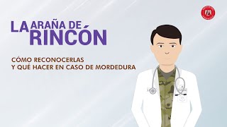 La Araña de Rincón  Consejos y Recomendaciones [upl. by Ahsratal885]