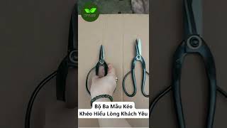 Khám Phá 3 Mẫu Kéo Bướm Được Ưa Chuộng Nhất Hiện Nay bonsaihunganh [upl. by Yelram33]