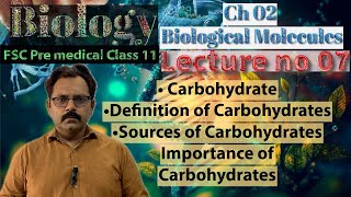 Definition Sources amp Importance of Carbohydrates glycoprotein glycolipids class11 in UrduHindi [upl. by Nialb]