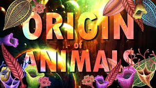 ORIGIN of ANIMALS [upl. by Flor]