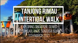 Tanjong Rimau Intertidal Walk  Sentosas Coastal Cliffs Caves and Shores With Chapters [upl. by Dalli95]