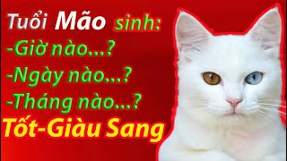 Tuổi Mão sinh vào giờ ngày tháng nào để có cuộc sống tốt giàu sang phú quý [upl. by Toile678]