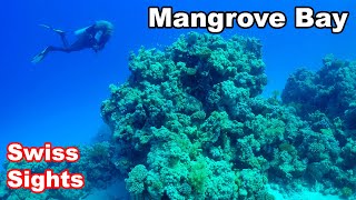 Mangrove Bay Marsa Alam 4K Wonderful House Reef Red Sea [upl. by Carin]