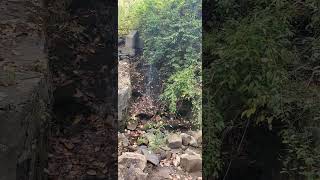 Peaceful little waterfall at Lake Nockamixon State Park [upl. by Anawed]