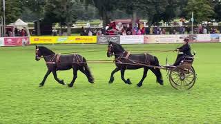 Best of Neustädter HENGSTPARADE 2021 [upl. by Aeriel]