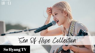 Playlist Rosé 로제  Sea Of Hope Collection 바라던 바다 모음 [upl. by Atsed]