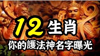 《藥師經》中隱藏著12生肖的守護神？12藥叉大將中，那一位是你的護法神？藥師佛 [upl. by Zetram]