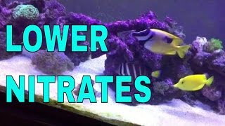 How Im lowering nitrates in the 125 gallon saltwater aquarium [upl. by Evatsug]