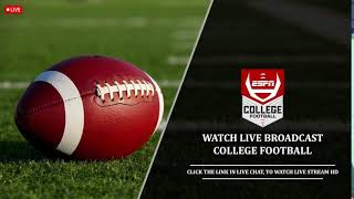 South Florida vs Southern Miss Live Stream  College Football 2024 [upl. by Harle211]