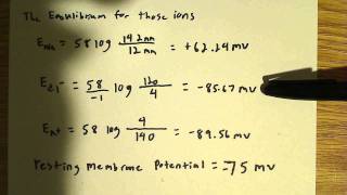 Flow of ions at resting potential [upl. by Efal]