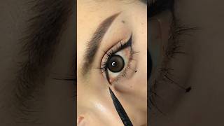 Mastering Eyeliner for Beginners  Nightliner DailyEyeMakeup shorts makeuptutorial [upl. by Jessi]