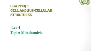 Mitochondria  Powerhouse of the Cell  Self Replicating Organelle  Federal Biology [upl. by Orpha]