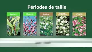 Gamme Jardin Bosch  Guide Comment utiliser le sécateur sans fil Ciso [upl. by Ical]