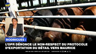 Rodrigues  L’OPR dénonce le nonrespect du protocole d’exportation du bétail vers Maurice [upl. by Evelina295]