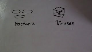 PROPER SCIENCE 4 Bacteria v Virus 1 – How to Kill Them [upl. by Eisnyl]