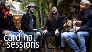 The Temperance Movement  Chinese Lanterns  CARDINAL SESSIONS [upl. by Purington]