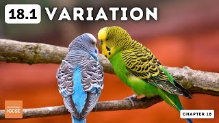 IGCSE Biology  Variation 181 [upl. by Cartwright]