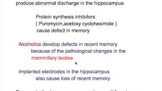 Hippocampus and memory [upl. by Aztilem]