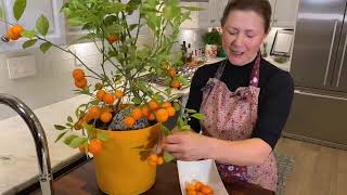 Elaine Cooking Cooking Class Calamondin Marmalade [upl. by Nasaj]