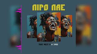 Tony wizzy x M Swax  Nipo Nae official Audio [upl. by Letch]