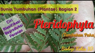 PTERIDOPHYTA Tumbuhan Paku  Plantae Bagian 2 [upl. by Murrell]