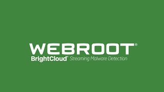 BrightCloud® Streaming Malware Detection for Technology Partners  Webroot [upl. by Sulakcin]