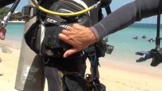 Buddy  Predive Safety Check Skill 2 [upl. by Golliner]