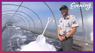 How it SALT made 🧂🤔 Friday Harbor entrepreneur finds niche in salt farming [upl. by Enneire458]