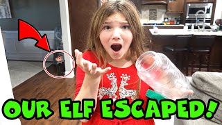 Elf On The Shelf Escaped Quarantine Ellie Sparkle Is MISSING [upl. by Arikat]