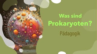 Was sind Prokaryoten  Aufbau  Beispiele  Zellwand  Größe  Mitochondrien  DNA  Funktion [upl. by Iidnarb393]