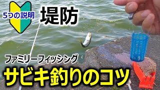 【サビキ釣り初心者向け】釣りのコツ 〜5つの説明〜 [upl. by Hwang]