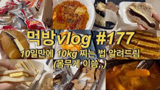 먹방vlog177 10일만에 10kg 찌는 방법 알려드림몸무게 이씀ㅣ앙버터 카야버터 베이글 마라탕 과자 김치찜 콩국수 초코 떡볶이 피자 치킨 등 [upl. by Egres]