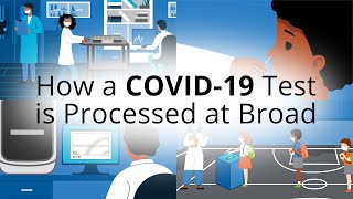 How to use a COVID19 rapid antigen selftest kit [upl. by Sucramat]