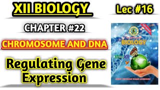 Regulating Gene Expression lec 16 Gene Regulation class 12 [upl. by Ylenaj591]