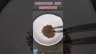 Oxidation and Reduction reactionClass x scienceExperiment [upl. by Teyut]