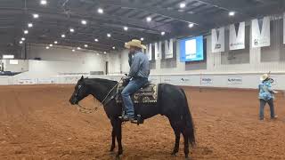 Nutrena Ride the Pattern Clinic Ranch Riding [upl. by Natfa978]