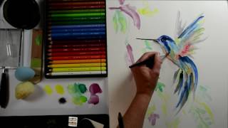 Malen mit Aquarellstiften Kolibri  Mein KreativAtelier Nr 89  Begleitvideo [upl. by Dnomaid]