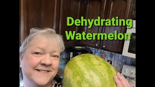 Quickest  Fastest Way to Dehydrate Melons [upl. by Denison]