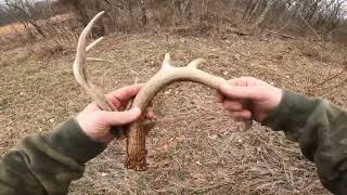 2024 Shed Hunting in Southern Ohio [upl. by Nobell824]