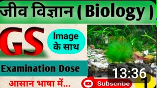 BIOLOGY GENERAL SCIENCE FOR COMPETITIVE EXAMINATIONS BPSC SSC UPP UPSC RAILWAY BANKING [upl. by Anaehs]